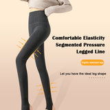Sidiou Group Winter Warm Pants For Women High Waist Tummy Control Hip Lift Casual Pantyhose Fleece Lined Thickened Slim Leggings Thermal Tights