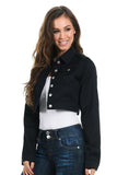 Botton Down Shirt