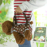 Pet handbag