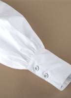 Sidiou Group  Sexy Women Bow Tie Blouse Lantern Sleeve Tunic Button Down Shirts Elegant Top