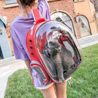 Sidiou Group Breathable Pet Carrier Bag Dog Outdoor Travel Backpack Pets Carrying Cage